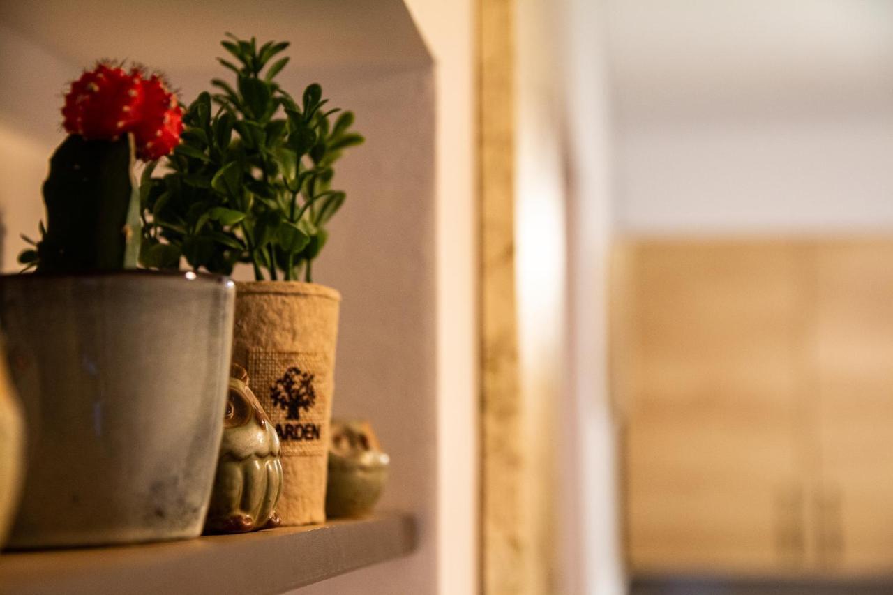 Studio Aries Postavarului Brasov Ngoại thất bức ảnh